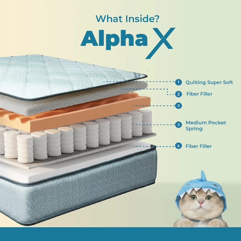 In The Box® Alpha X 3