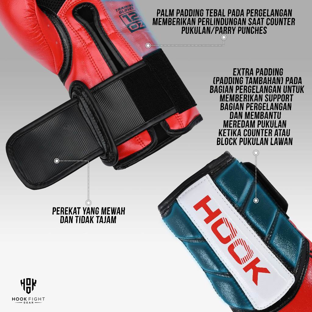  Hook Boxing Gloves HTG Fancy