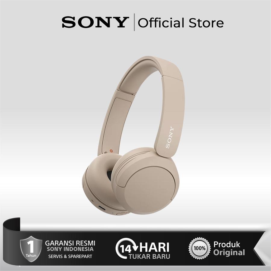Sony Group Corporation Sony On Ear Wireless Headphones WH-CH520