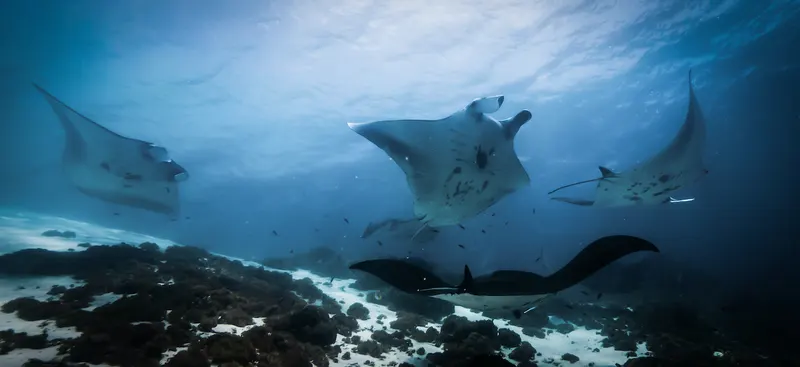 Discover Scuba Diving 4