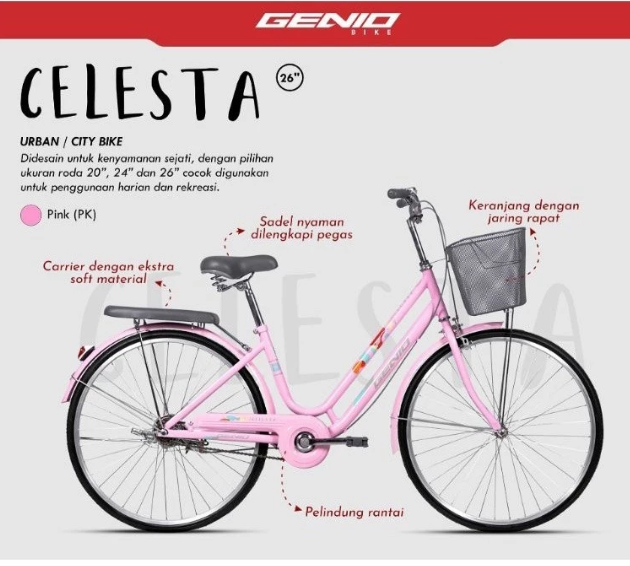 Sepeda Bersama Indonesia Genio Celesta