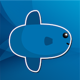 MOLA 1