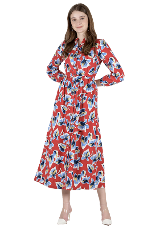 LeRosetz - Printed Etro Dress 1