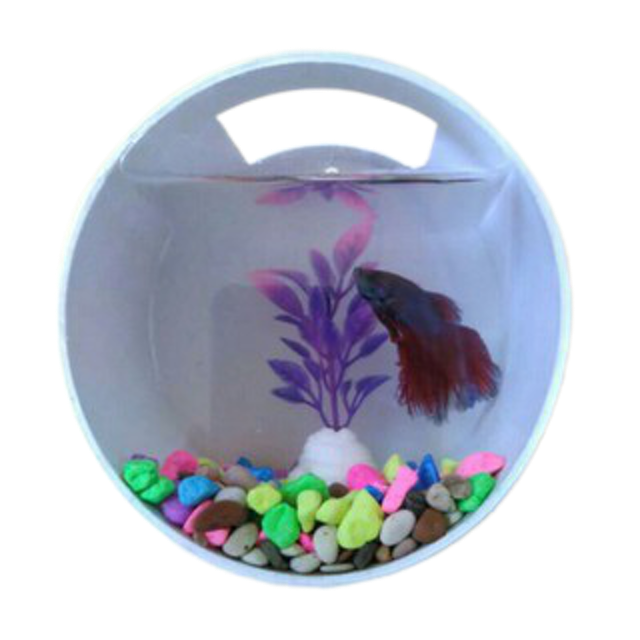 Aquarium Dinding Mini Bentuk Tabung Bahan PVC dan Akrilik