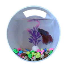 Aquarium Dinding Mini Bentuk Tabung Bahan PVC dan Akrilik