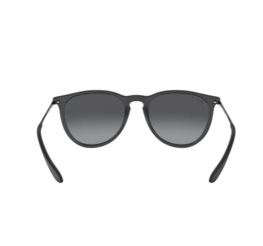 Ray-Ban Erika Polarized  ｜ RB4171F 622/T3 
