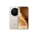 Vivo Mobile Communication vivo X300 Pro (16/512 GB) 1