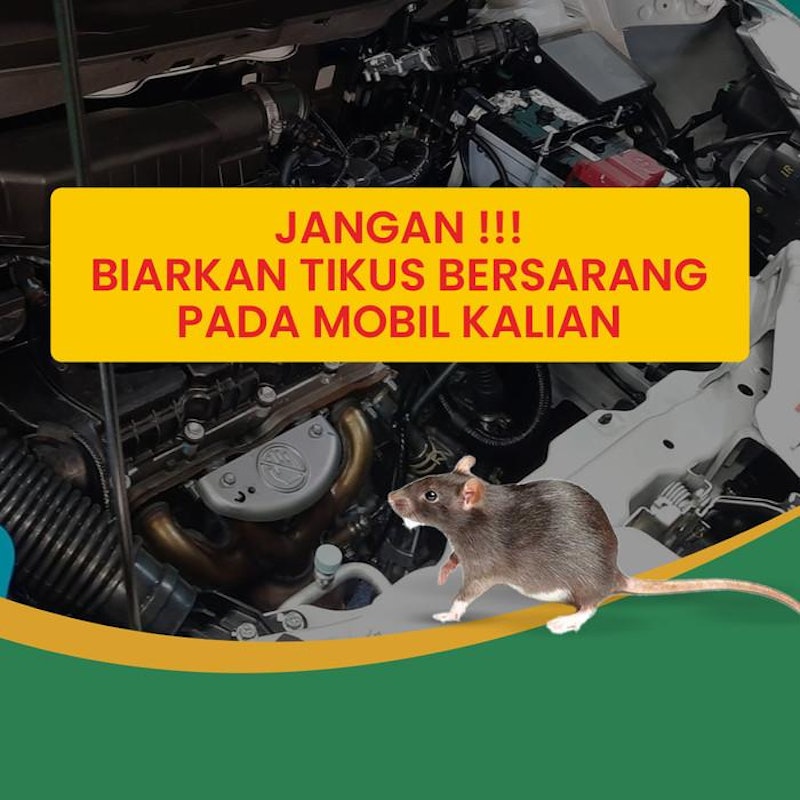 ANTIRAT Aromatic Spray Pengusir Tikus 3