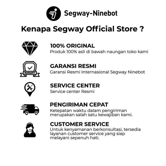 Segway Powersports Segway Ninebot KickScooter D28