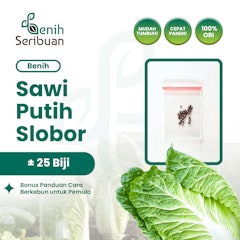 Benih Sawi Autumn Sun Hibrida F1