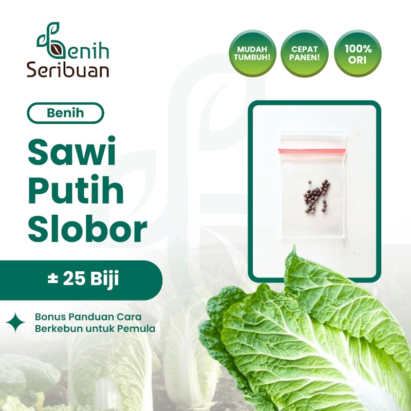 Benih Sawi Autumn Sun Hibrida F1 1