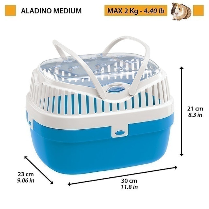 Aladino Medium 3