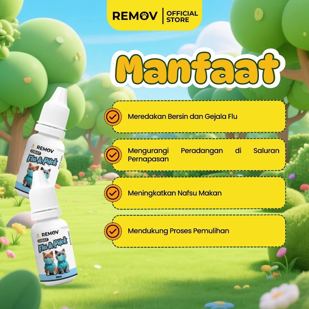 Remov Obat Flu & Pilek 2