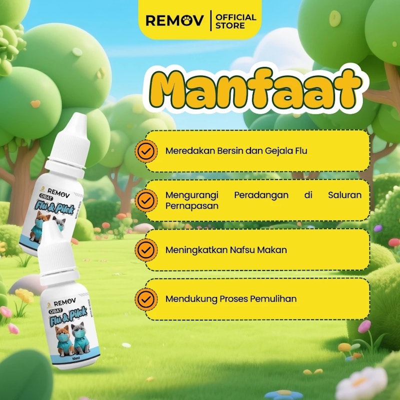 Remov Obat Flu & Pilek 2