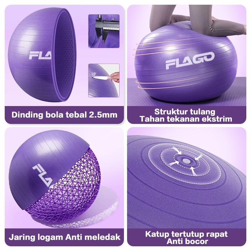FLAGO Gym Ball 2