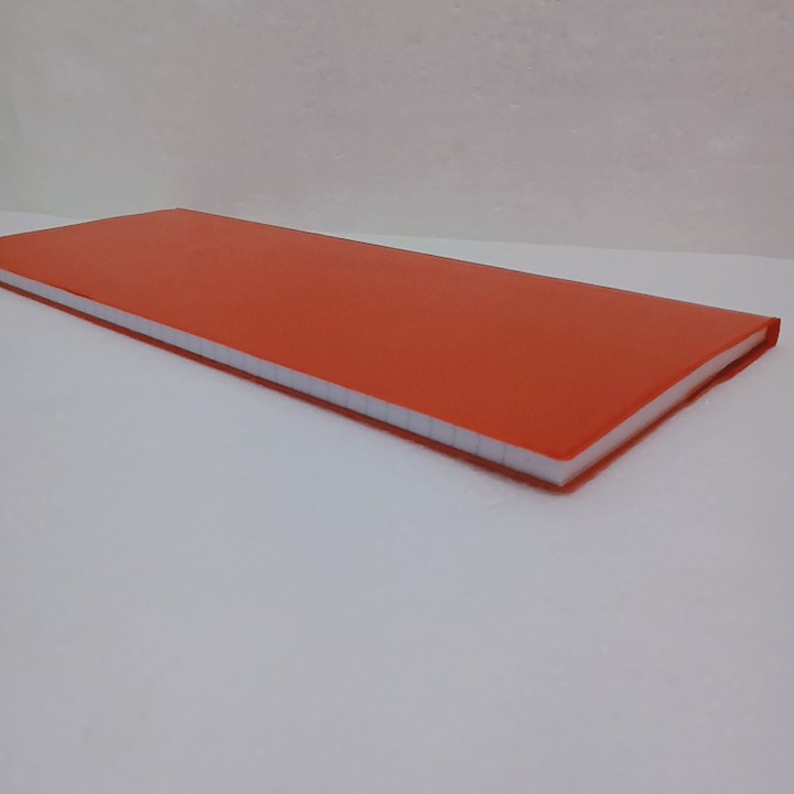 Standard Buku Ekspedisi Plastik Polos