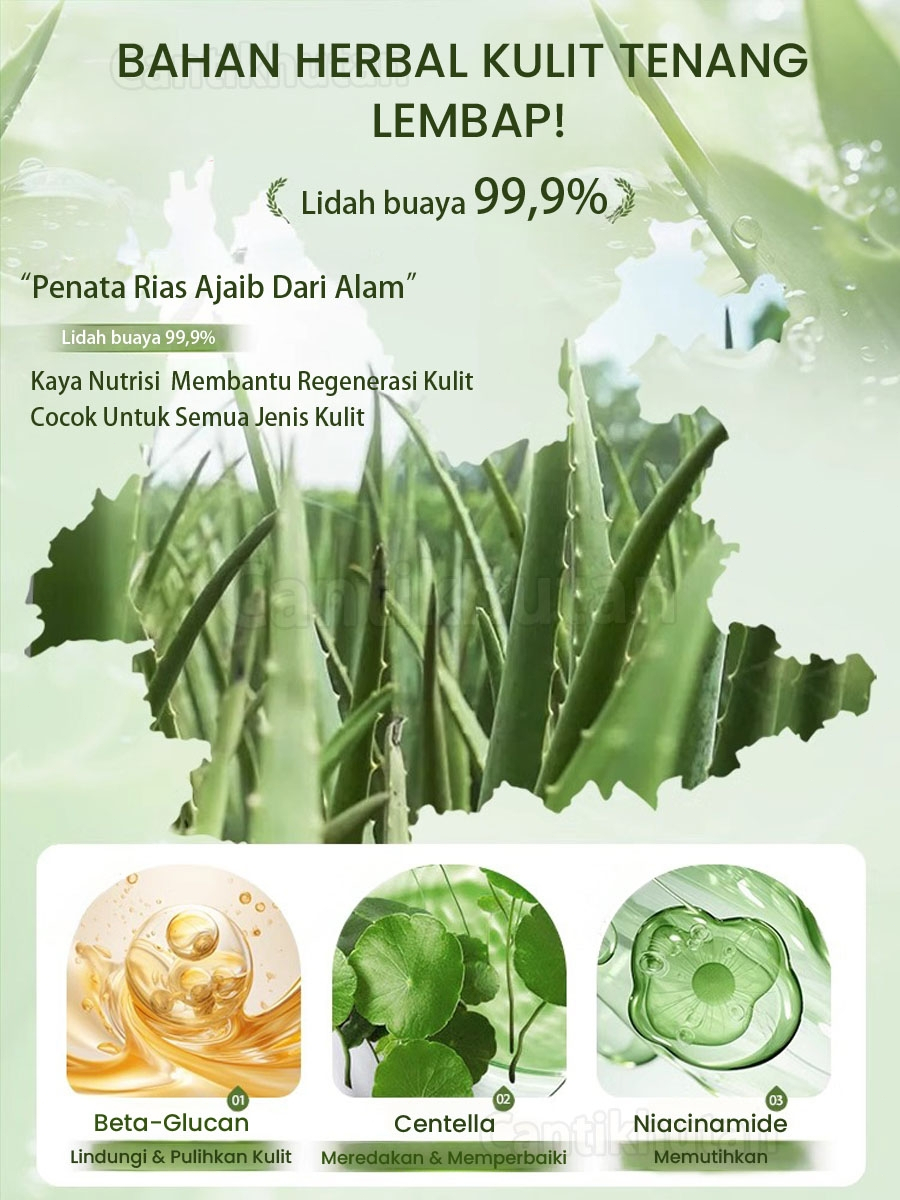  Cantik Hutan Aloe Vera Gel