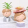 Triple W Pot Mini Succulent Boy Girl 1