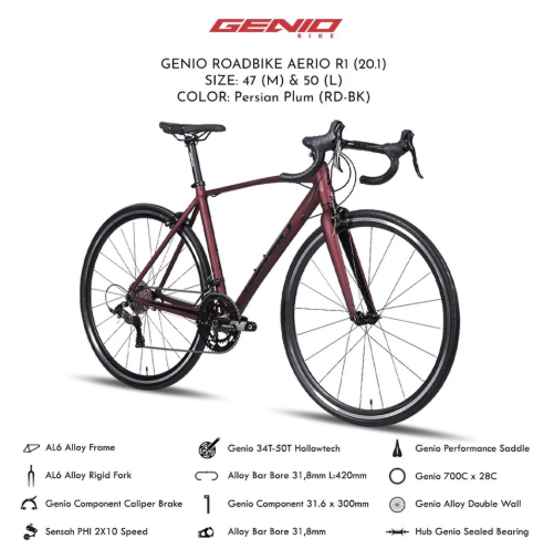 Genio Roadbike Aerio R1 47 (M) 3