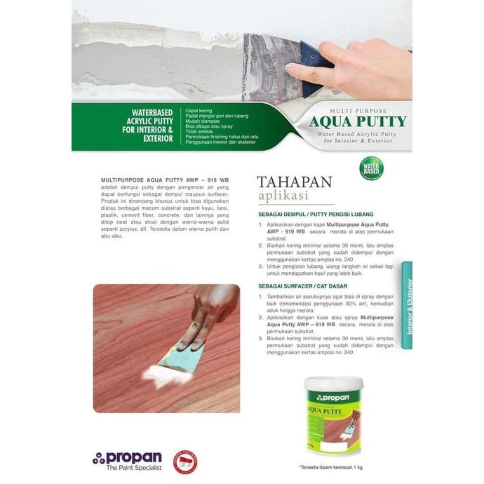 Propan Raya Propan Aqua Putty AWP 919 1kg