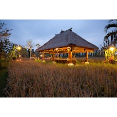 Bebek Tepi Sawah Restaurant Ubud
