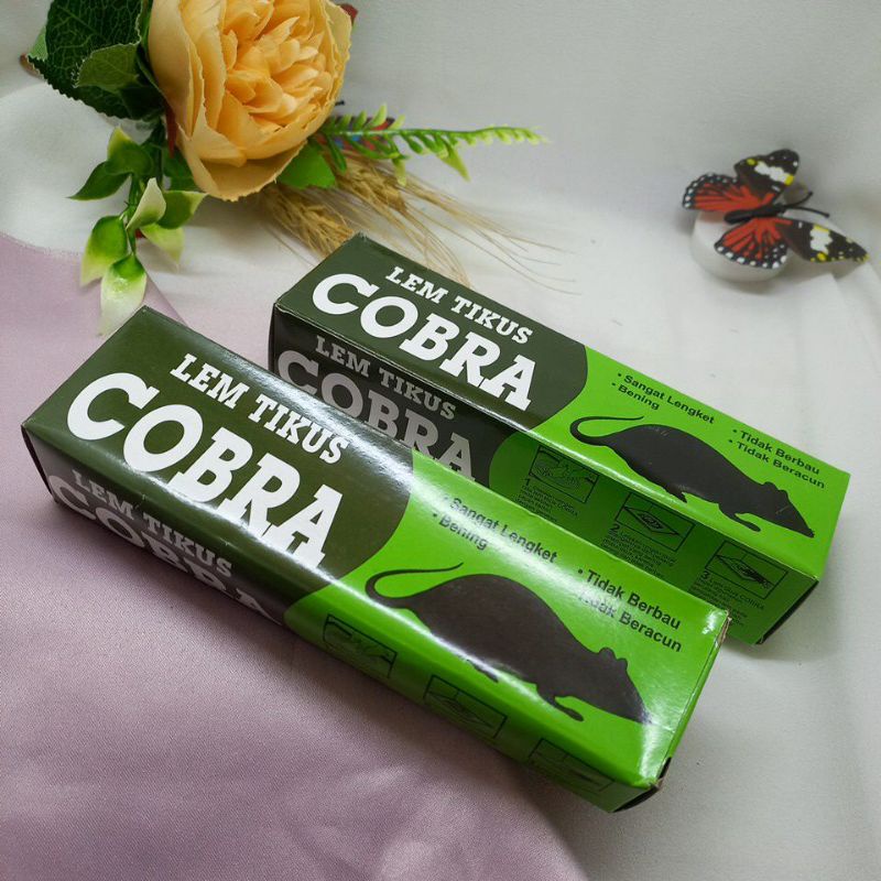 COBRA COBRA Lem Tikus