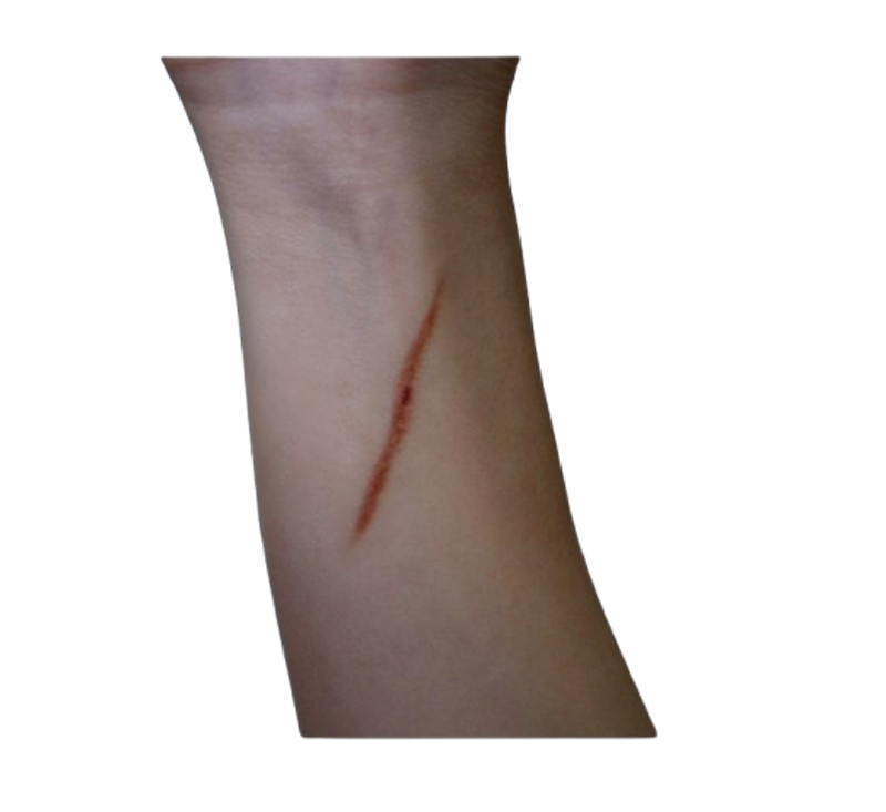 Desired FX Indonesia Tato Temporer Tiny Cut 1