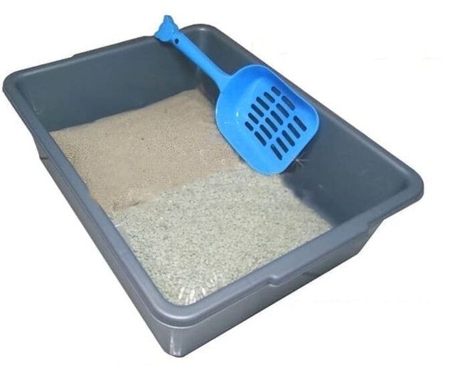 10 Rekomendasi Litter Box Terbaik  [Ditinjau Dokter Hewan]  5