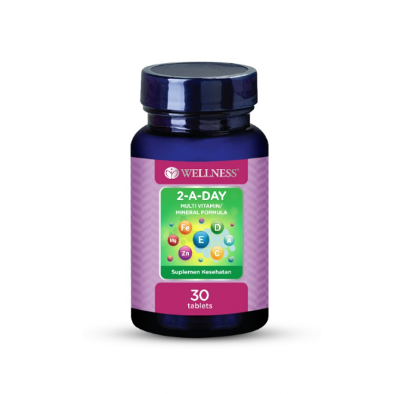 Wellness 2-A-Day Multivitamin