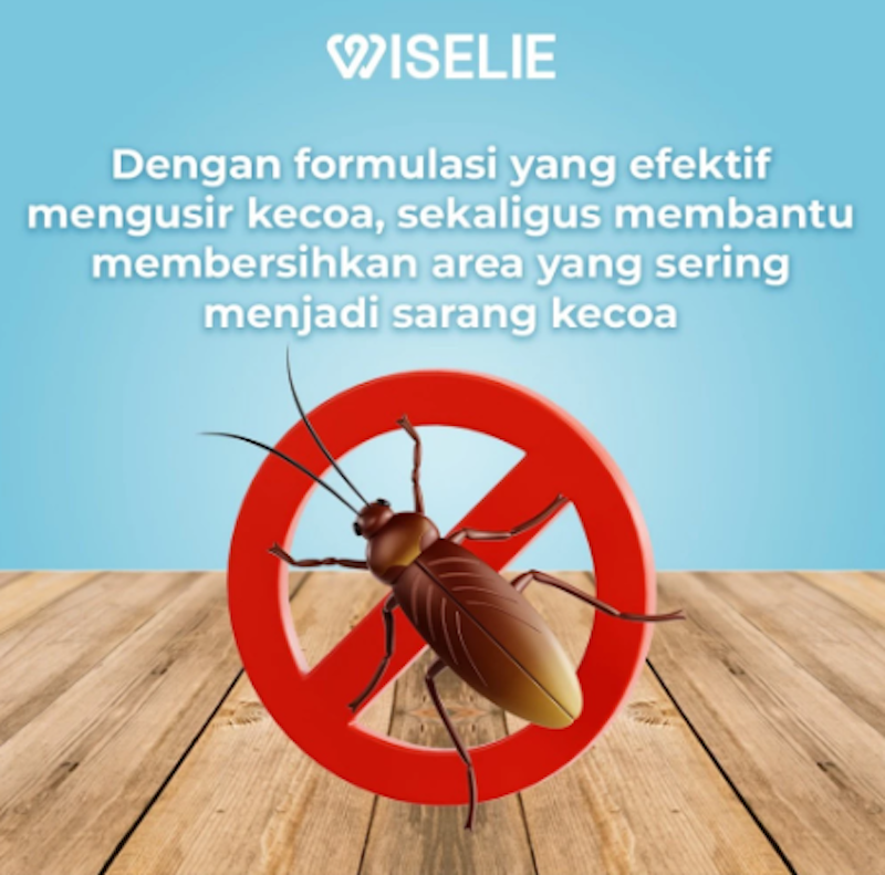 Wiselie Aromatic Spray Kecoa 3