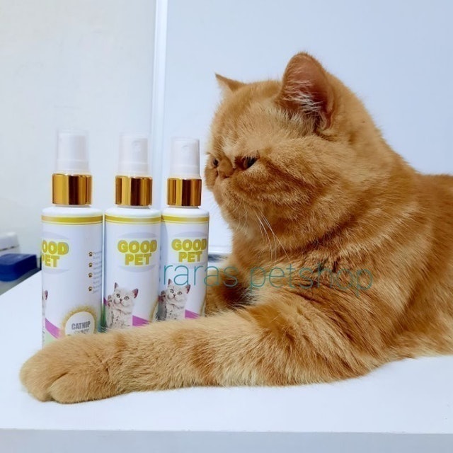 Good Pet Catnip Spray