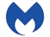 Malwarebytes Malwarebytes Premium Security 1