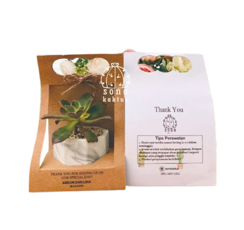 Souvenir Kaktus & Sukulen Hias Mini Paperbag Dara D-5 cm 1