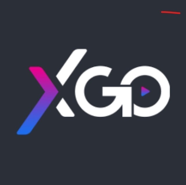 Transvision XGO 1