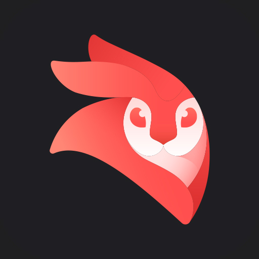 Videoleap Editor 1