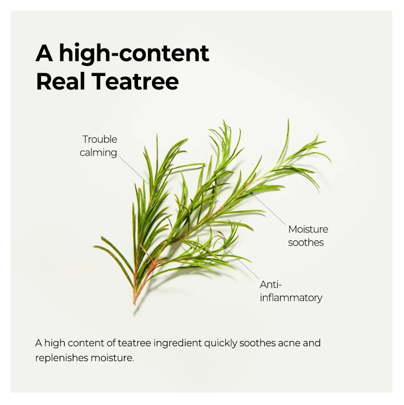 Real Teatree Calming Care Mask 3