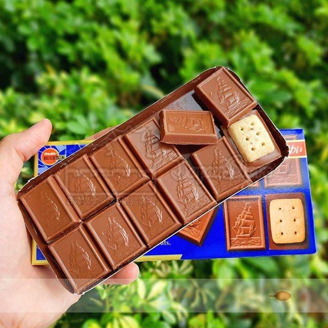 Alfort Mini Chocolate 3