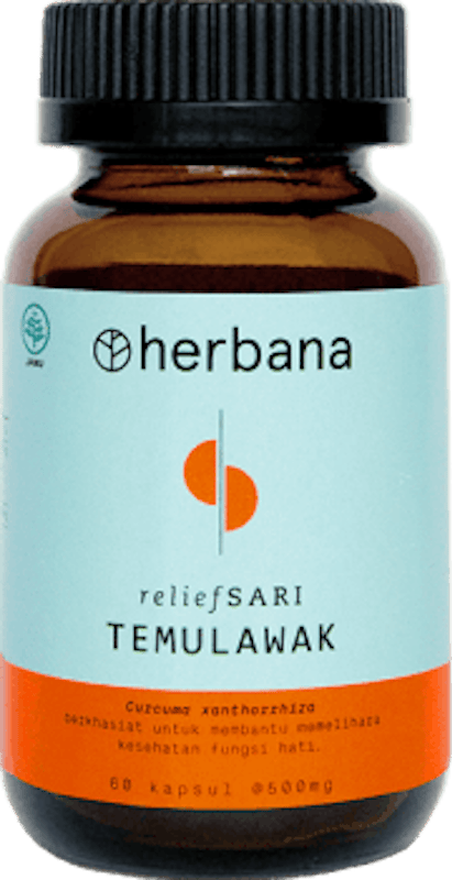 reliefSARI Temulawak 1