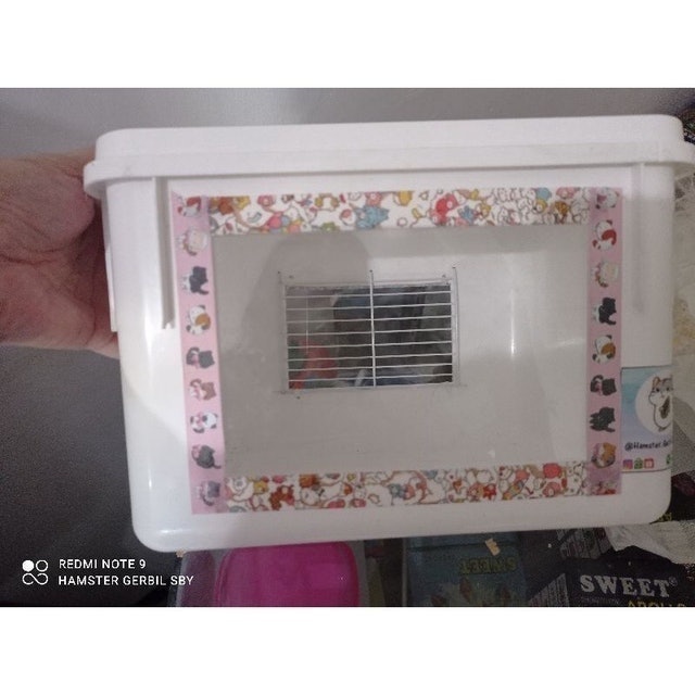  Kandang Marmut Boks Akrilik