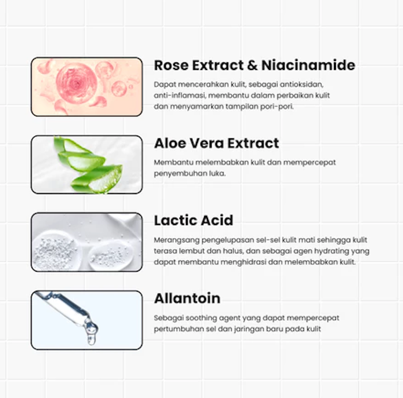 The Gift of Rose Balancing Oil Control Toner Spray 3