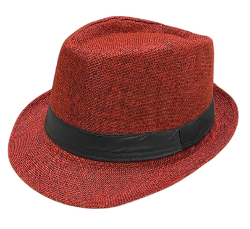 Topi Fedora Anak 3