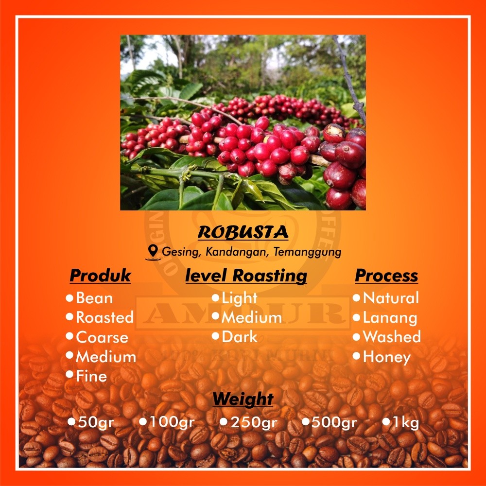  Produsen Kopi Temanggung Robusta Bubuk Murni