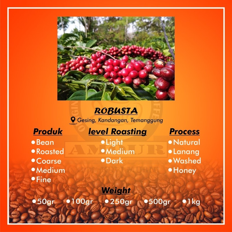 Produsen Kopi Temanggung Robusta Bubuk Murni 2