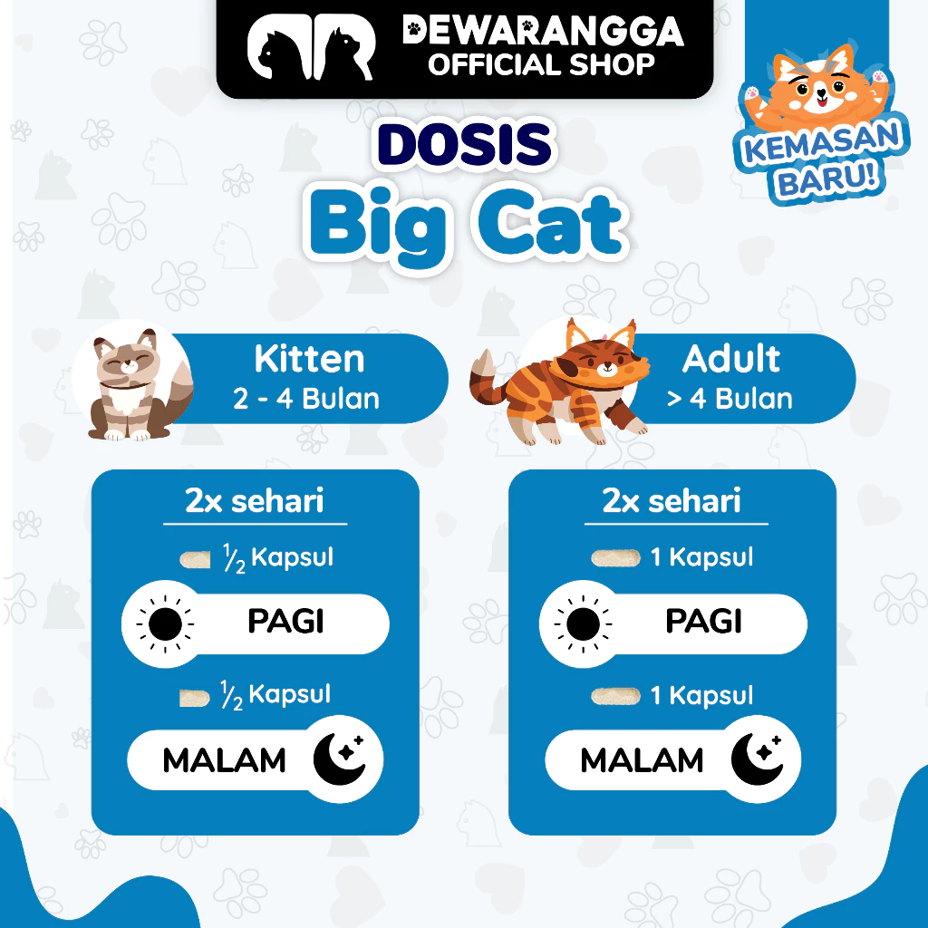 Dewarangga Cattery Big Cat 5