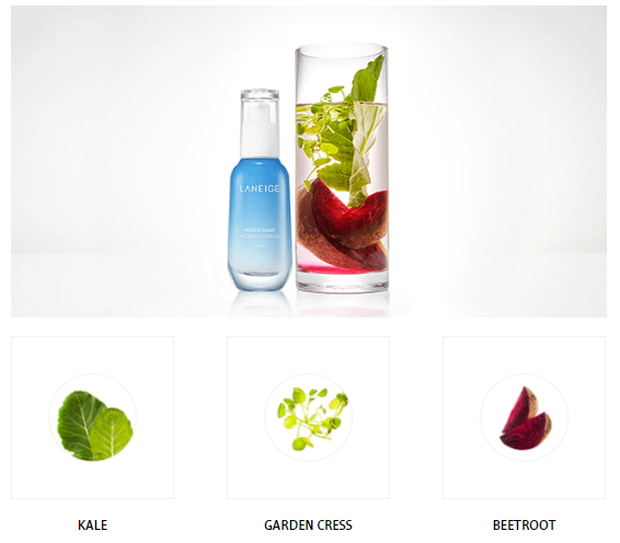 LANEIGE Water Bank Hydro Essence