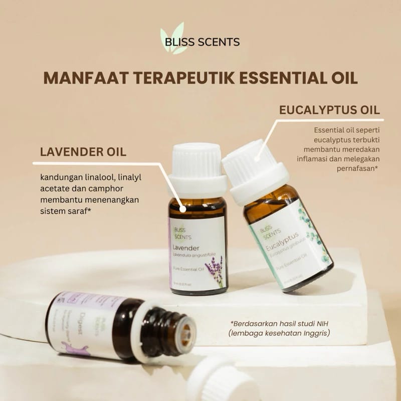 Bliss Scents  Bliss Scents Cinnamon Essential Oil