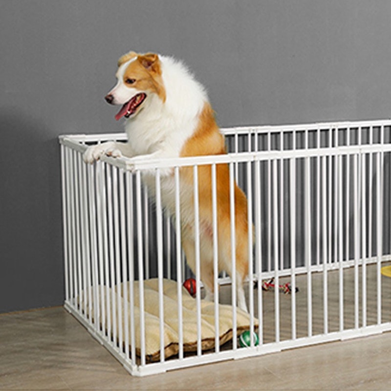 Pagar Anjing Rumah Dog Fence Pintu 2