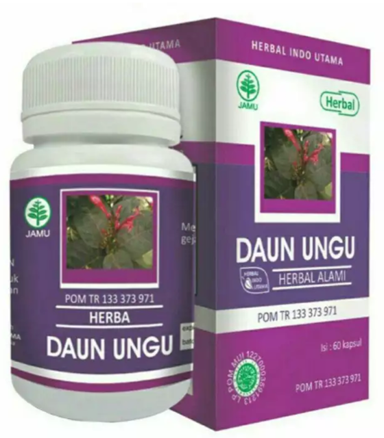 Herba Daun Ungu 1