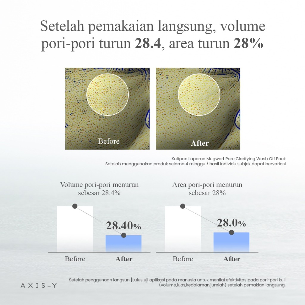 Asia Master Trade AXIS-Y Mugwort Pore Clarifying Wash Off Pack