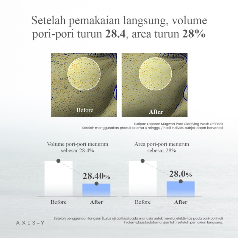 Mugwort Pore Clarifying Wash Off Pack 4